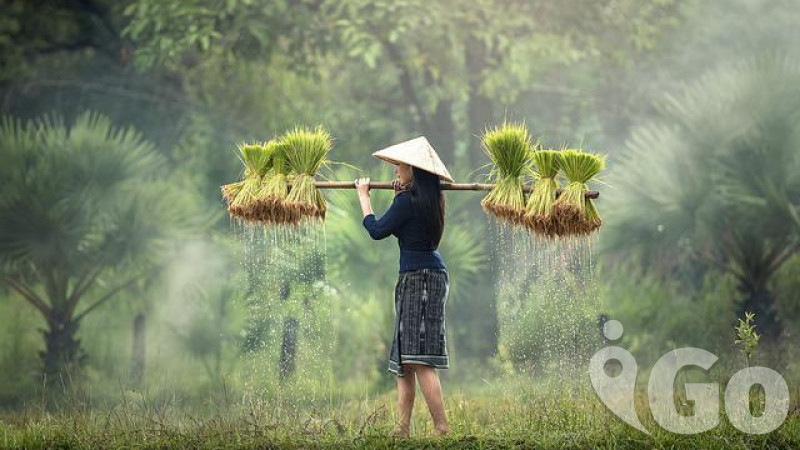 VIETNAM - na stopě nedávné historie s výletem do horské SAPA
