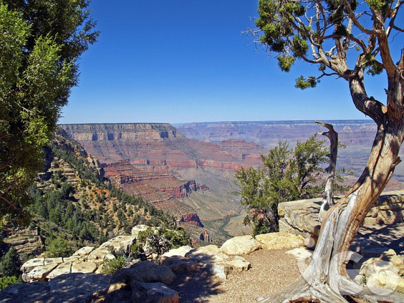 009 grand-canyon-53701 640