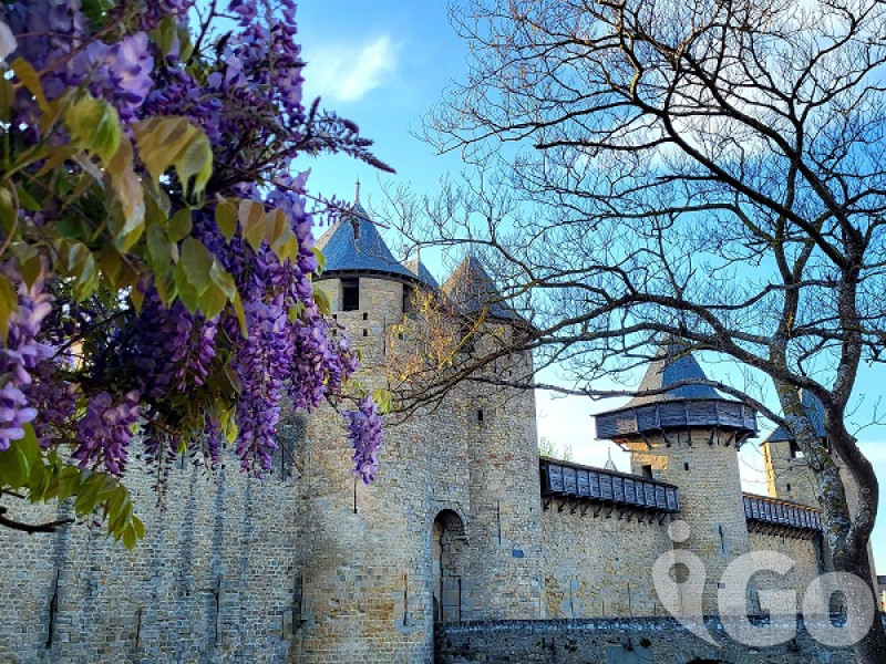 carcasonne
